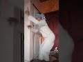ЩЃЩЉШЇЩЉЩ Щ Ш Ш Щѓ Ш ШЇШ Щ ЩЉЩ Щ ЩЉЩ Щ ЩЉЩ рџ Јрџ Јрџ Јрџ Јрџ Ј ЩЃЩЉШЇЩЉЩ Щ Ш Ш Щѓ Ш ШЇШ Щ ЩЉЩ Щ ЩЉЩ Щ ЩЉЩ рџ Јрџ Јрџ Јрџ Јрџ Ј