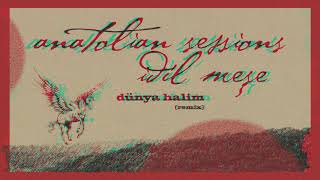 idil Meşe, Anatolian Sessions - Dünya Halim (Remix) Resimi