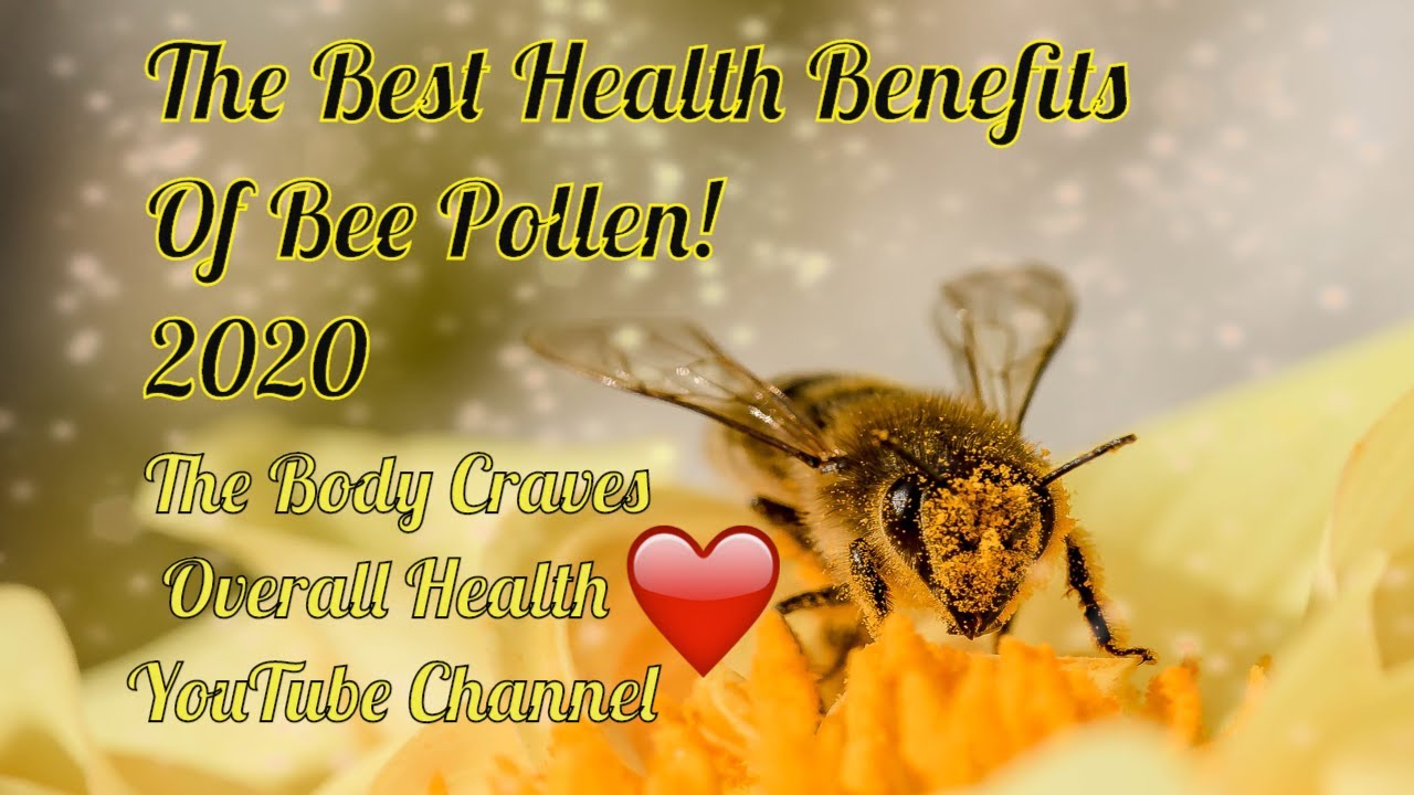 bee pollen benefits and facts bee pollen benefits and facts