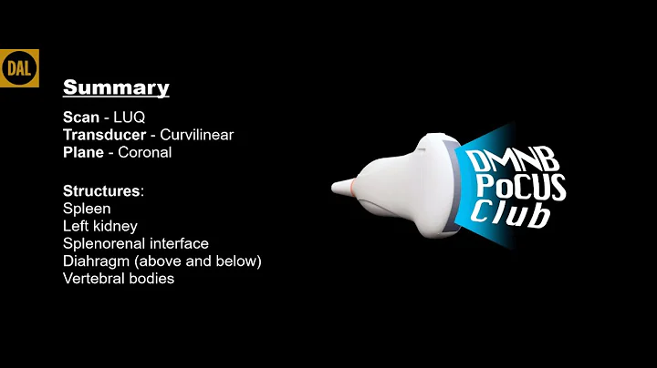 DMNB PoCUS Series: Left Upper Quadrant