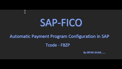 Automatic Payment Program - FBZP in SAP