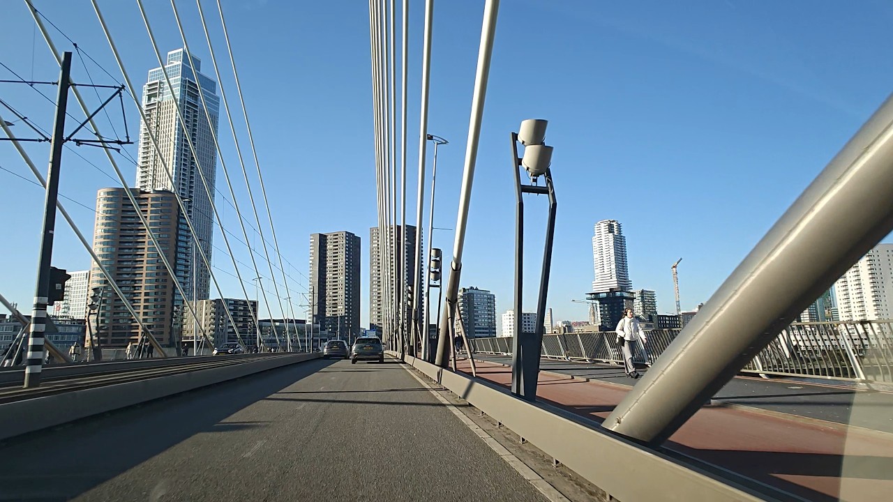 Sunny Saturday drive in Rotterdam. Driving in the Netherlands. 4K 60 fps