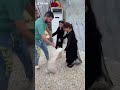 تحشيش حيدر ورتوجه شد يا ورد تحشيش حيدر ورتوجه شد يا ورد