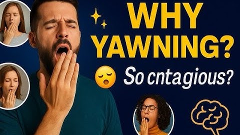 The Strange Science Behind Yawning | You’ll Probably Yawn Watching This