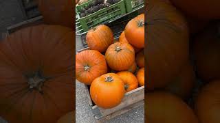 Цвета осени))#мотивацияивдохновение #autumn