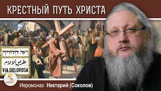 VIA DOLOROSA. Беседа #2. Крестный путь Христа.  Иеромонах Нектарий (Соколов)