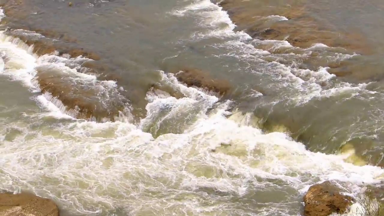 Белореченск река белая Белореченск река белая