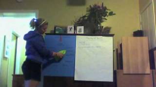 Capture 20090513 3