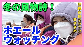 【沖縄県・那覇市】ホエールウォッチングツアーで冬の沖縄を満喫しよう!