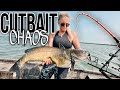 Cutbait chaos dragging a new lake for giant channel catfish