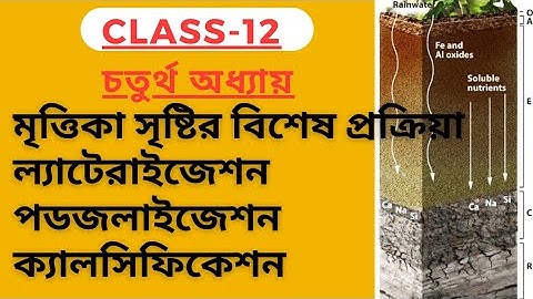 HS GEOGRAPHY CHAPTER 4।।SOIL।। মৃত্তিকা সৃষ্টির বিশেষ প্রক্রিয়া।।
