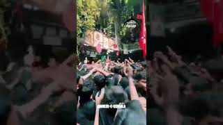 Nicholson road highlights ||2024