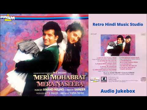 Meri Mohabbat Mera Naseeba 1993   Anand Milind Sameer  All Songs   Audio CD JukeboxHigh Quality
