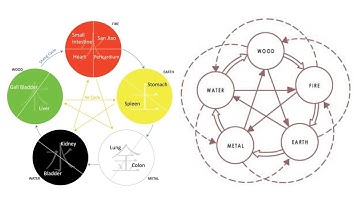 FIVE ELEMENTS: SHENG, KE, CHENG, WU CYCLES