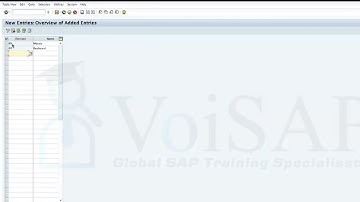 Define Division I SAP MM Training I VoiSAP