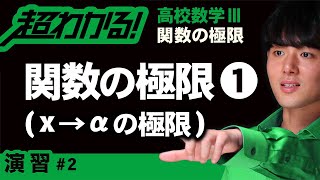 【関数の極限が超わかる！】◆関数の極限の基本の復習　（高校数学Ⅲ）