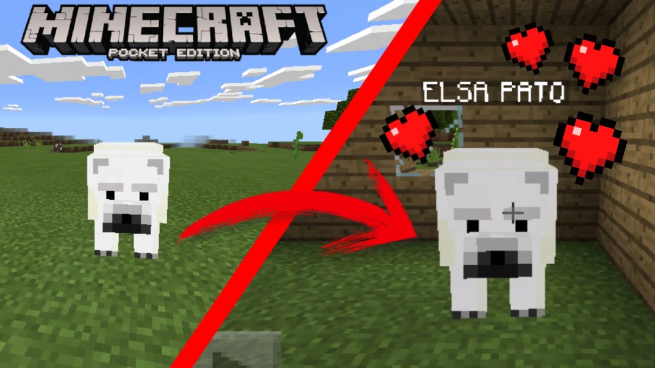 DOMESTIQUE UN OSO POLAR SIN MODS Y VE COMO LO HICE | DOMAR OSO POLAR