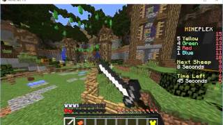 Mineplex- 2 Sheep Quest hackers