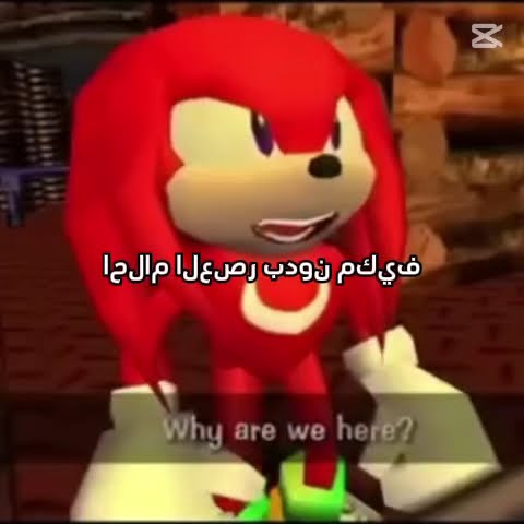 Tob tobi tob tob #songs #halal #capcut #sonic #shorts
