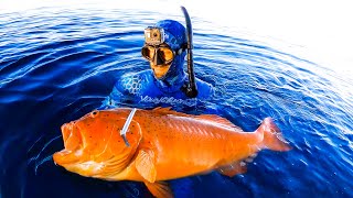 Download lagu Crazy Afternoon Remote Island Spearfishing With The Boys Boat Trip (Part 3) - Ep 235