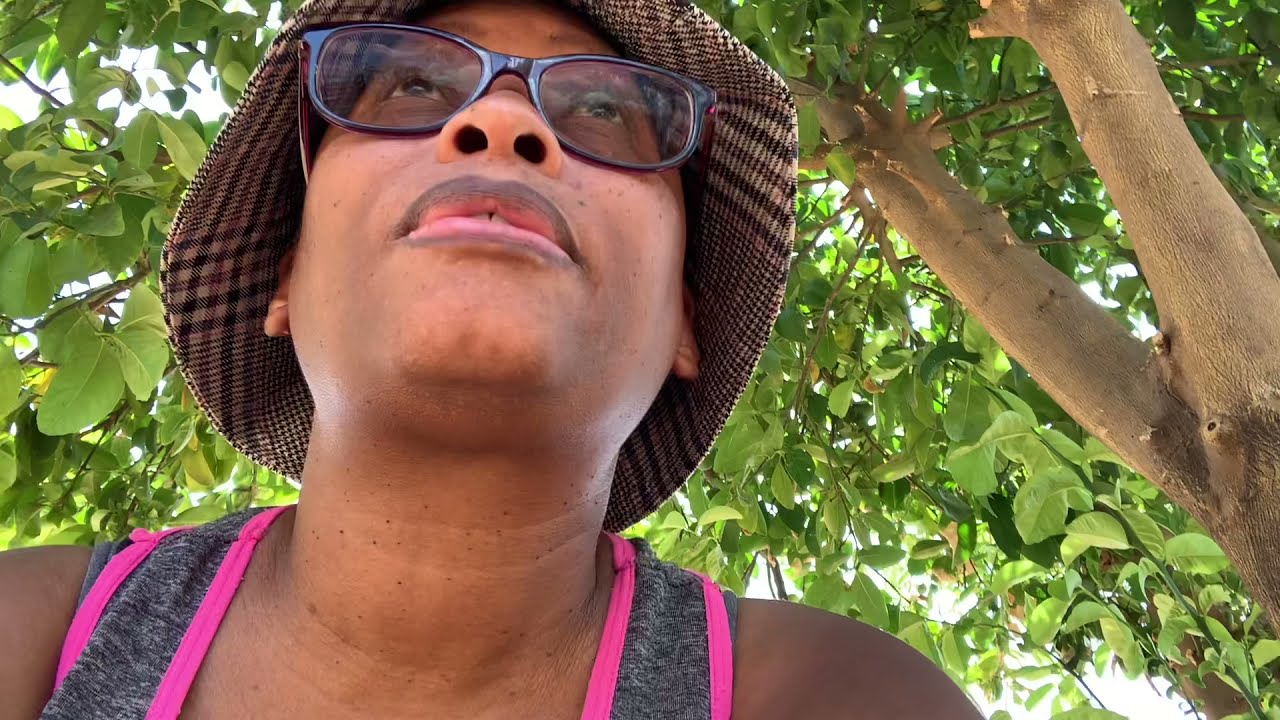 It’S Hot In Botswana..36 Degrees Celsius