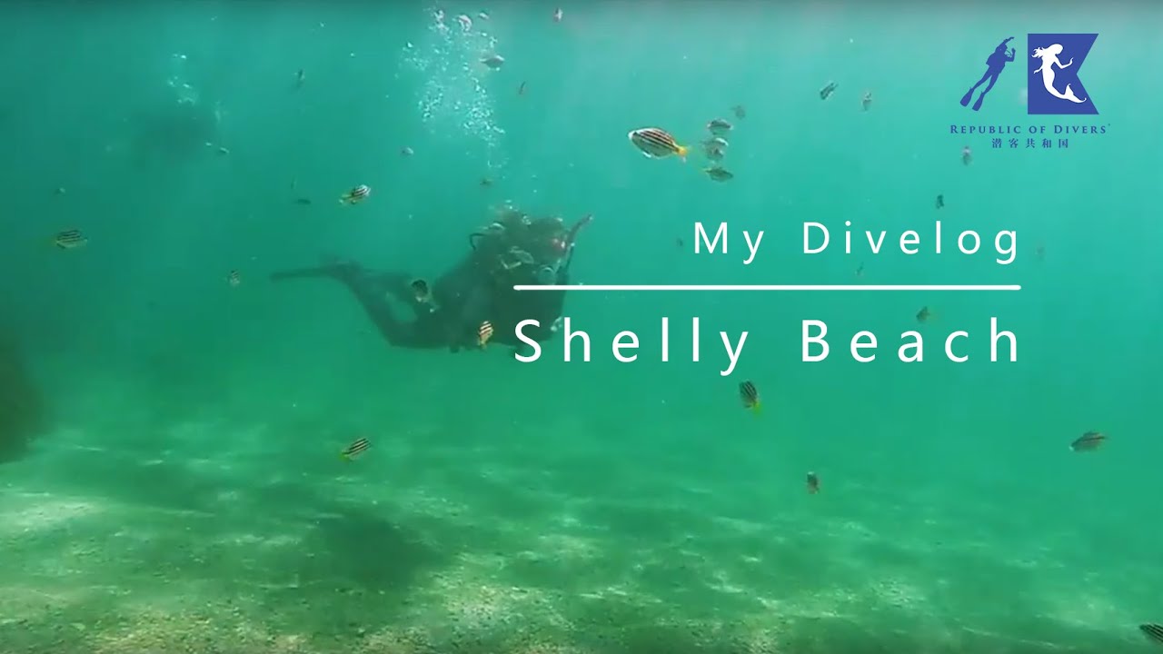 My Divelog - Shelly Bay - Sydney Diving