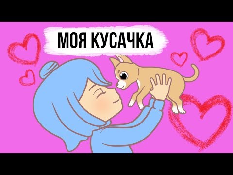 Вопрос: Как подружиться с чихуахуа?