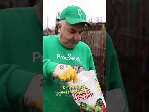 Самая первая и важная подкормка деревьев ранней весной! Не пропустите!