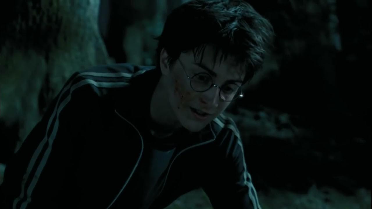 Dementors attack Harry and Sirius Harry Potter and the Prisoner of
