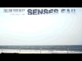 Senses fail  cute when you scream