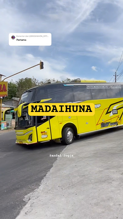 Madaihuna basuri rarera rera🤣 #busmania #mobilbasuri #automobile #basuribussid #basuri #telolet