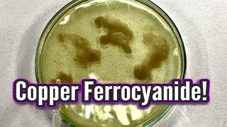 Copper Ferrocyanide Precipitate in RamZland!⚗️ 2CuSO4+K4Fe(CN)6 → Cu2Fe(CN)6+2K2SO4 #STEM #RamZland