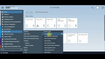 Bank and Factor Management Add-on for SAP Business ByDesign