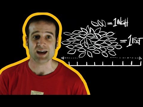 A Guide to Imperial Measurements with Matt Parker | Earth Lab