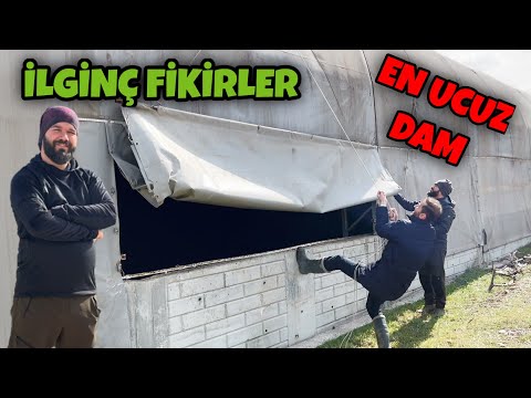 Video: Hayvanlar hakkında fikir değişikliği nedir?