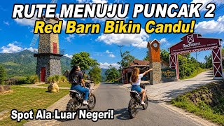 TERBARU! Hidden Gem Sukamakmur Puncak 2 Bogor, Serasa Liburan ke Swiss Tanpa Keluar Negeri! 