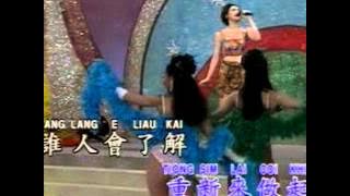 Hokkien Song - 浪子的心情 Lang Zi De Xin Qing