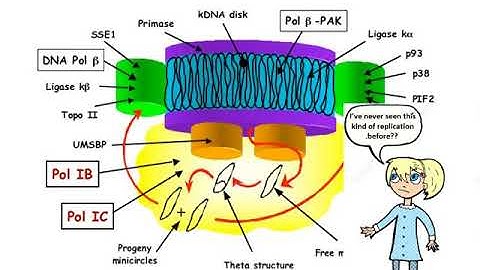 Paris Jamiel - Research Project - iCons Class of 2018