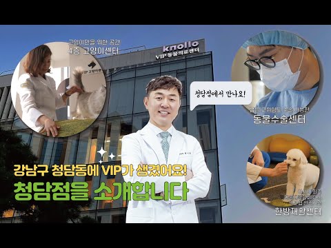 강남구 청담동에 생긴 VIP동물의료센터 청담점을 소개합니다!