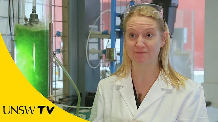Dr Rita Henderson - The chemistry of cleaning up w...