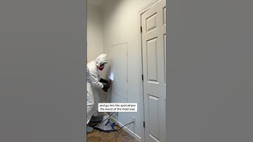 DIY Mold Remediation- Part 2! We hope you are learning as much as we are through this process. #mold