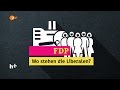 Wer ist eigentlich die FDP? - heuteplus | ZDF
