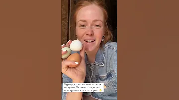 А ВЫ ЗНАЛИ ЧТО ПЕТУХ КУРИЦАМ НЕ НУЖЕН #животные