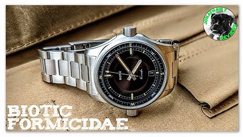 Biotic Formicidae Review: You