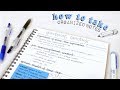 how to take organized notes & study effectively! | christylynn