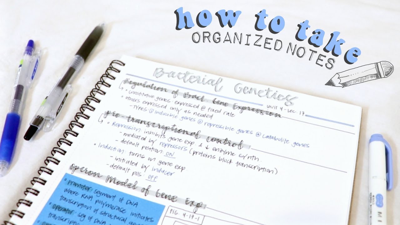 How to Organize Notes for Work