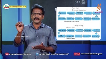 KITE VICTERS STD 09 Biology Class 17 (First Bell-ഫസ്റ്റ് ബെല്‍)