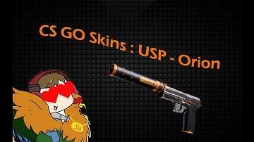 CS GO Skins: USP - Orion