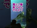 一瞬【タートルトーク】東京ディズニーシー