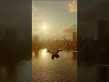 Spiderman sunset flying #4k #spiderman